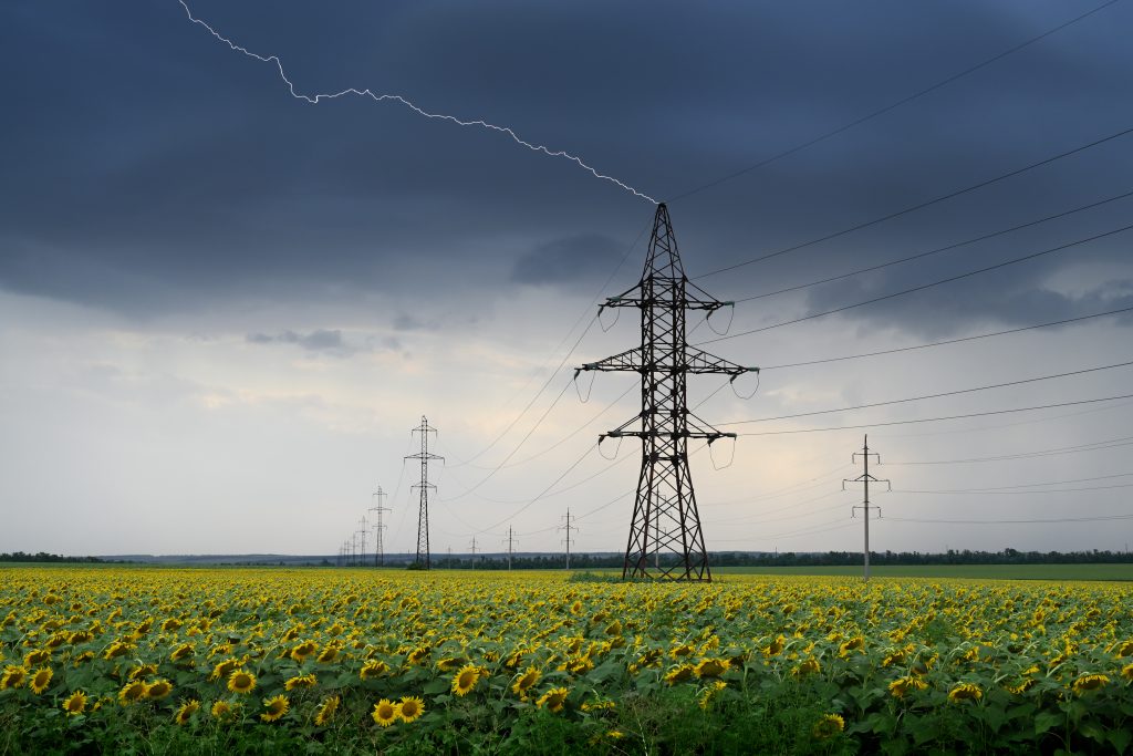 Sunflower field with power lines under stormy sky with lightning